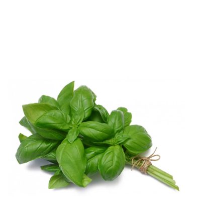 ΒΑΣΙΛΙΚΟΣ ΜΑΤΣΟ