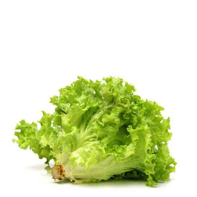 ΛΟΛΑ ΠΡΑΣΙΝΗ ΤΕΜ