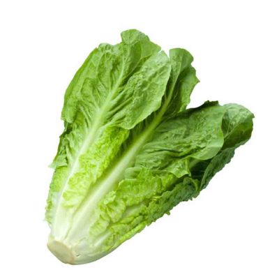 ΜΑΡΟΥΛΙΑ ΤΕΜ