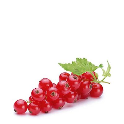 ΦΡΑΓΚΟΣΤΑΦΥΛΛΑ ΕΙΣΑΓΩΓΗΣ 125GR