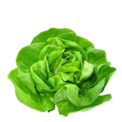 ΣΑΛΑΤΑ ΓΑΛΛΙΚΗ ΚΟΡΩΠΙΟΥ ΣΤΡΟΓΓΥΛΗ