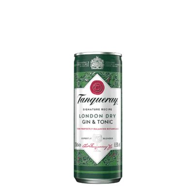 TANQUERAY ΤΖΙΝ & TONIC KOYTI 250ML